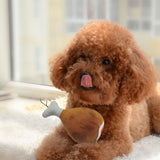 Hayley's Toy Collection By Project Pet Lovers Club