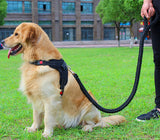 Big Dog Plaited Leash And Collar Set V2